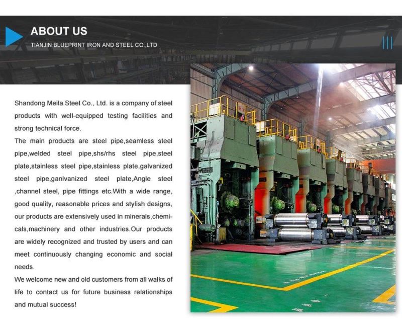 S235jr S275jr A105ring Steel Plate /ASME B16.5 Welding Forged Weld Neck Carbon/F316L 31803 32750 Stainless Steel Flange Weld Neck/Plate Flange/Blind Flange