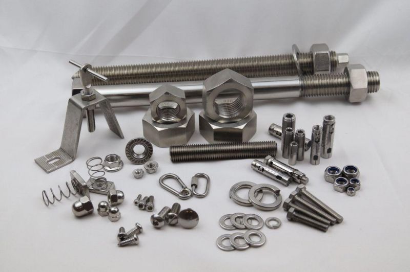Stainless Steel 316 Tapping Screw Ss 304 DIN 7981 Pan Head Self Tapping Screws A2 Tapping Screws A4 Tapping Screws