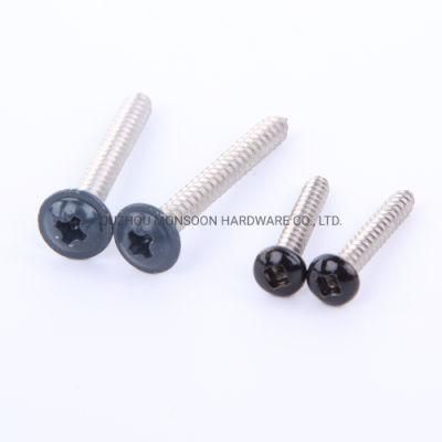 Stainless Steel Pan Head Phillips Screws with Painted