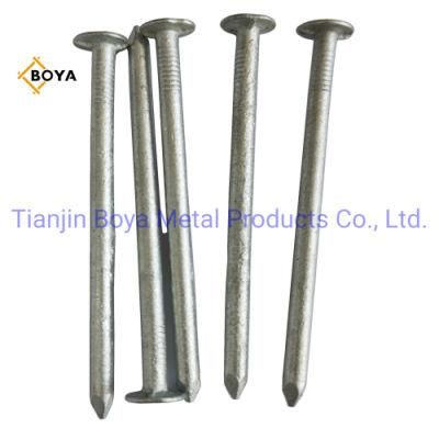 Boya Factory Supply Hardware/Iron Nail/Common Nail with Hot Dipped