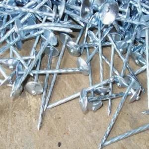 Spiral Shank Umbrella Roofing Nails Galvanized Roofing Nails
