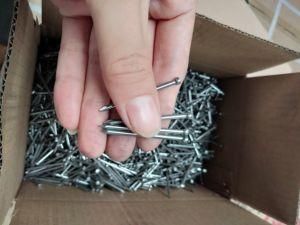 Common Nail/ Iron Nail 5kgs Per Box/Carton