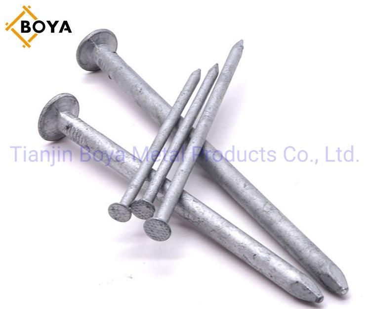 Wire Iron Nail/Hardware Nail/Polished Common Nail/Iron Nail/Building Nail