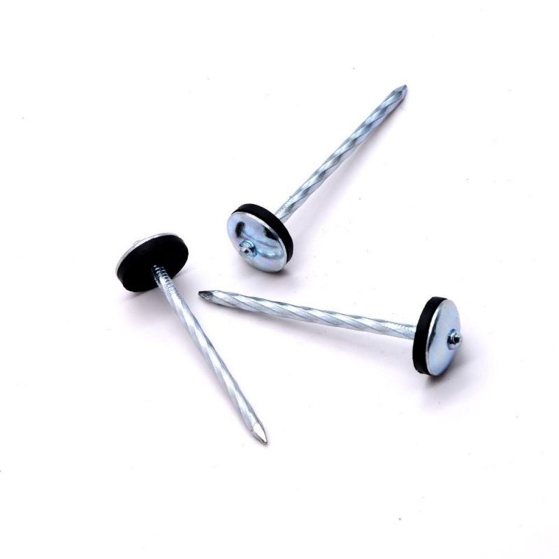 Nigeria Angola Zambia Namibia Market/China Factory Direct Galvanize Capped Umbrella Head Roofing Nails