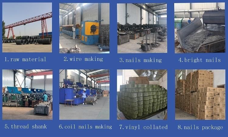 Professional Manufacturer Smooth Red Coated Coil Nail for Pallet