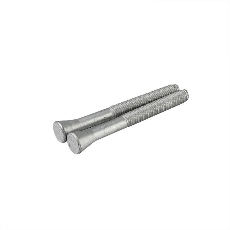 Stainless Steel Hex Bolt/Carriage Bolt/Anchor Bolt/T Bolt/Square Head Bolt/Hex Socket Cap Screw/Square Bolt/Wing Bolt/Eye Bolt/Knurled Bolt/U Bolt
