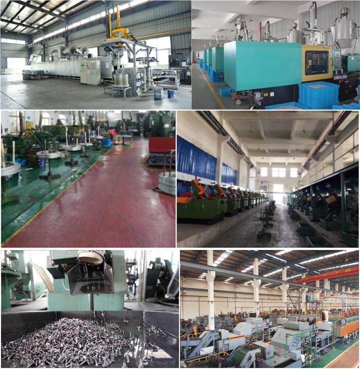 Customized Stainless Steel Flange Head Half Thread Extra Long Bolt Made in China