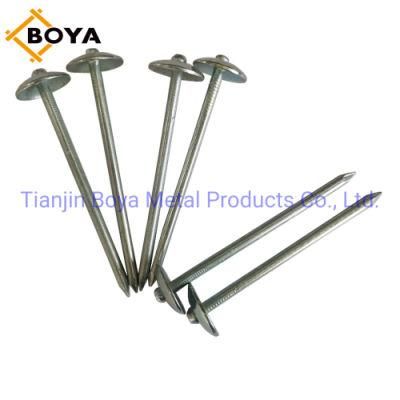 Tianjin Factory Q195 Galvanized Umbrella Head Smooth/Twist Shank Roofing Nails