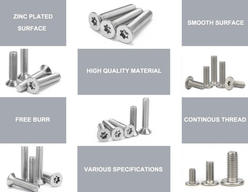 Stainless Steel Socket Countersunk Hex Flat Head Screw DIN7991 /Philips Torx Driver SS304 Screws Philips Torx Driver SS304 Screws
