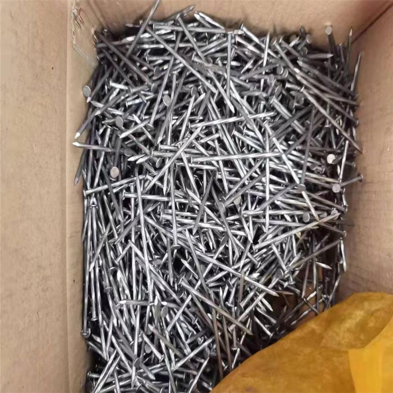 Galvanized Thread Nail Twist Nail/Anti-Theft Mesh Ribbed Nail