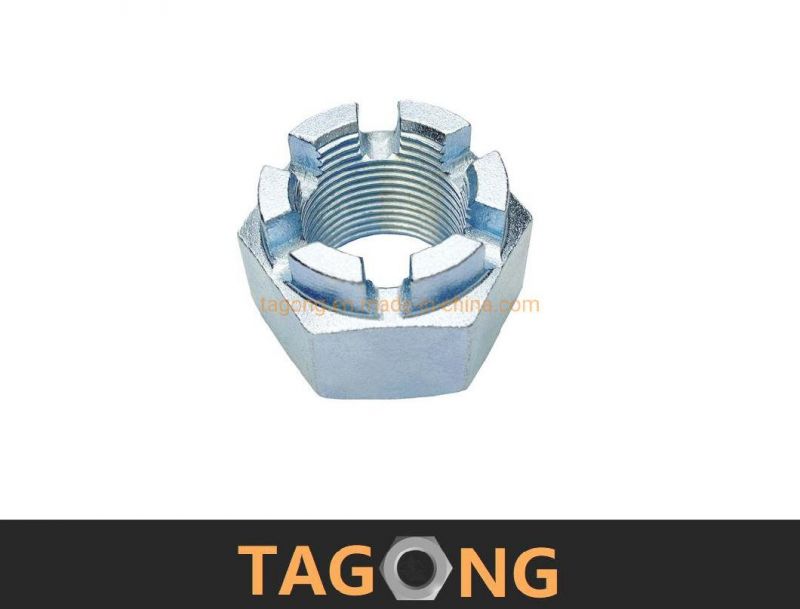Hex Nuts Square Nut Nylon Nut Castle Nuts Cap Nuts DIN937 DIN935 Hex Nut Slotted Nuts