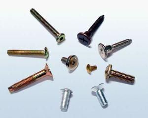 Various Machine Screw in Fasteners and Stainless Steel Machine Screw