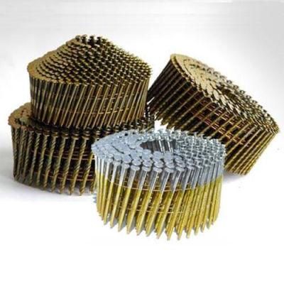 Best Quality 15 Deg Wire Coil Nail Smooth Shank HDG or Eg Coil Nails