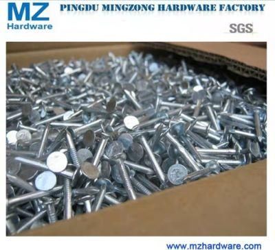 Electro Hot-Dipped Galvanized Twisted Shank Roofing Nail
