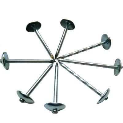 Q195 Carbon Steel Coil Galvanized Roofing Nail Mushroom Head Nails