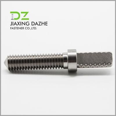 Stainless Steel Special Screw Nc Products