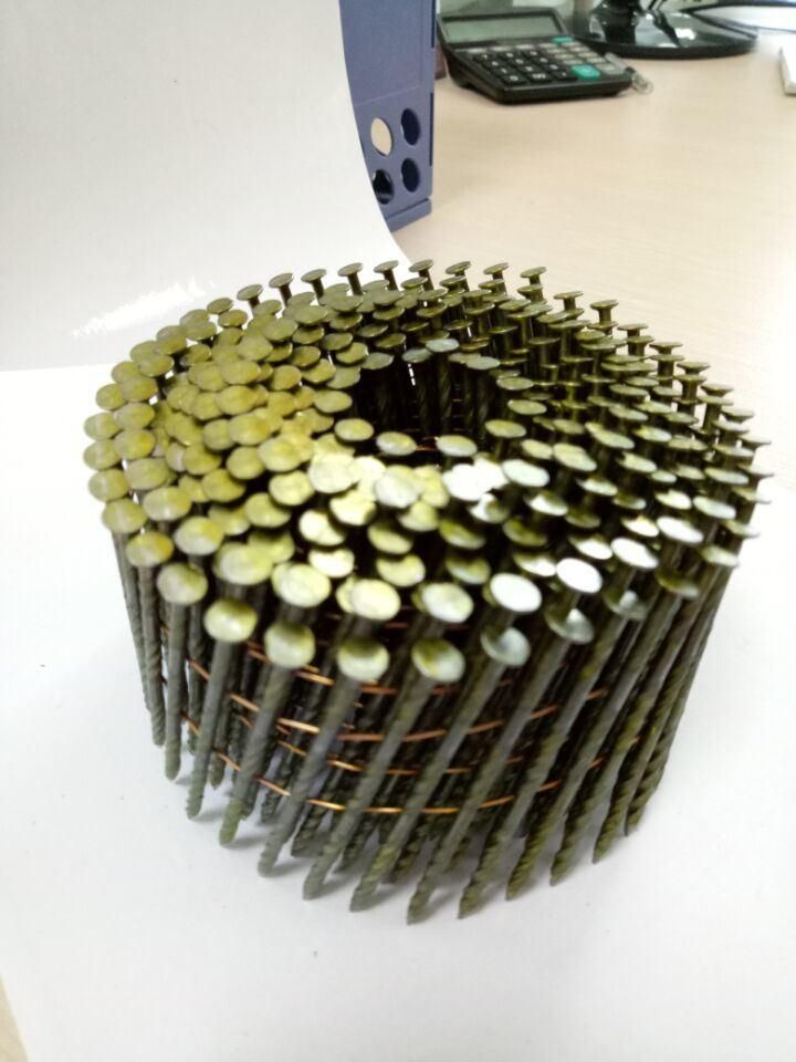 Coil Nails Factory with Lowest Price