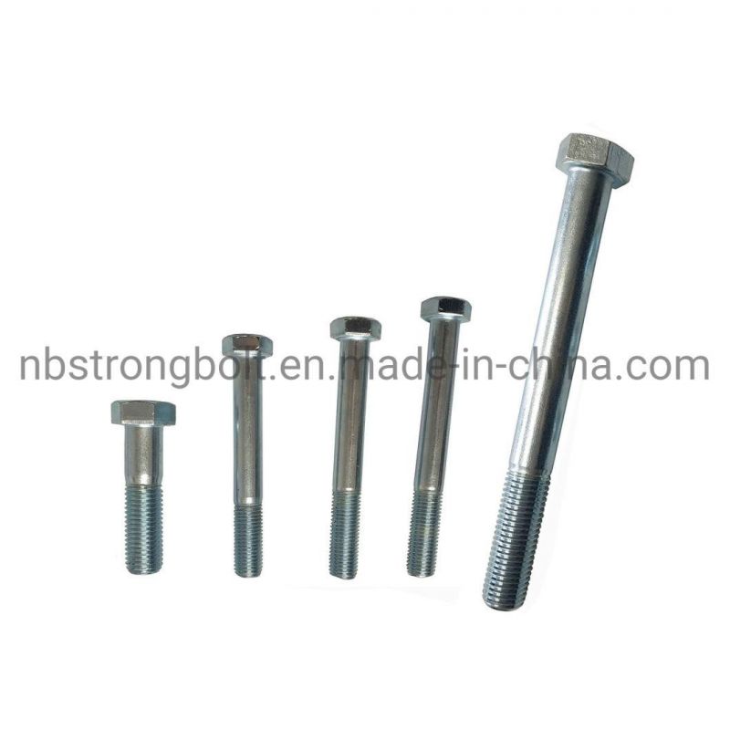 High Tensile Strength Hex Bolt Manufacturer &Factory