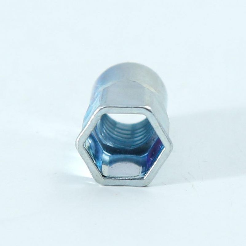 China Factory OEM ODM Fastener Customized Flat Head Hexagon Round Hex Through Hole Brass Stainless Steel Blind Rivet Nut