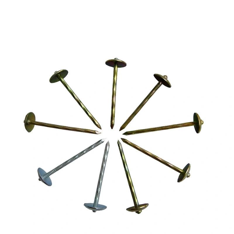 Zinc Coated Umbrella Head Roofing Nail for Africa Market