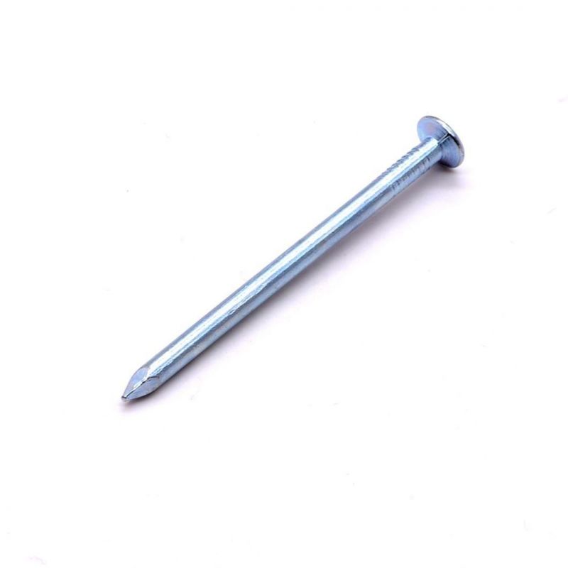 Manufacturer Stainless Steel Galvanized Concrete Carbon Steel Nail Concrete