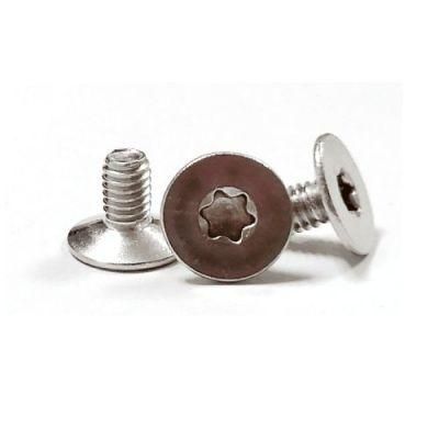 Stainless Steel 304 Big Csk Flat Countersunk Head Torx Screw