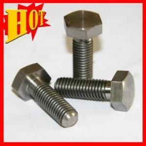 Best Quality M5 Titanium Hexagon Bolt for Bicycle Frame