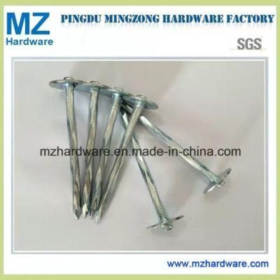E. Galvanized Umbrella Flat Head Roofing Nail with Twist Shank