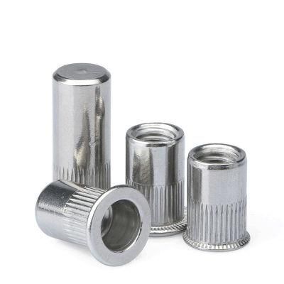 304 Stainless Steel Rivet Nuts Carbon Steel or Stainless Steel Nutsert Rivnut Rivet Nut with Knurled Body