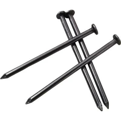Customized Polished Common Iron Wire Nails with Different Size