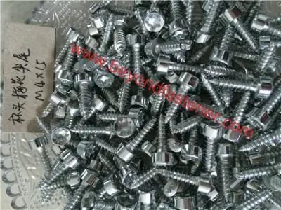 Cheese Screw Torx Bit Self Tapping Screw/Torx Bolts