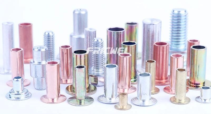 Fricwel Auto Parts Steel Plain Color Rivet Bag Rivet Clutch Facing Rivet DBS-Bb