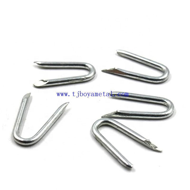 U Type Nail U-Type Nail Wire Nail Price Galvanized U Type Fence SOD Staple / U Type Wire Nail