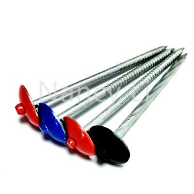 Color Coated Umbrella Head Roofing Nail Ring Shank Corrugated Nails
