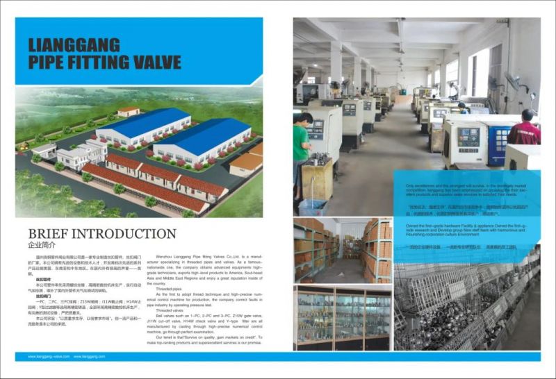 Factory High Quality Stainless Steel Female Thread Pipe Fitting Cross