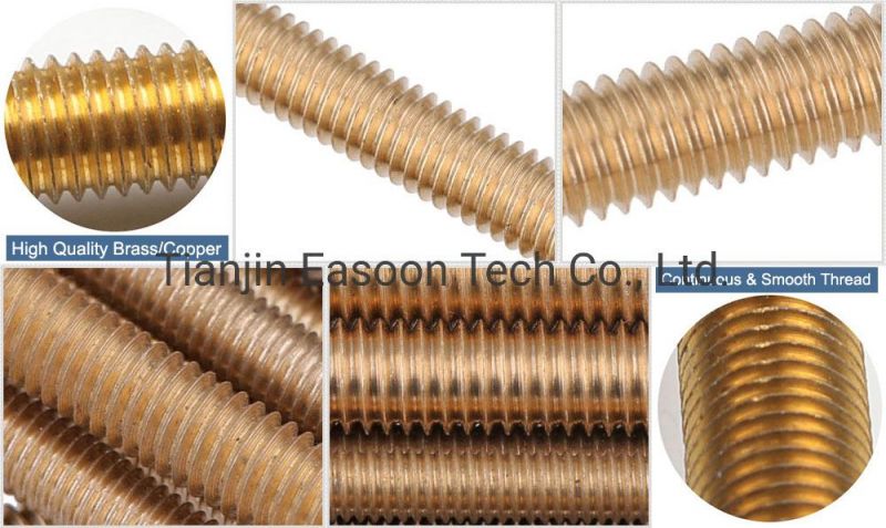Copper Threaded Rod 8mm Brass Bolt and Nut Made in China Fastener