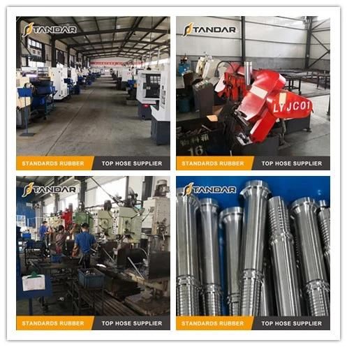 Bsp NPT Thread Standard Hydraulic Hose Fitting