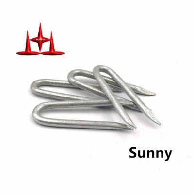 3.80X32mm U Type Fence Staple Steel Nails