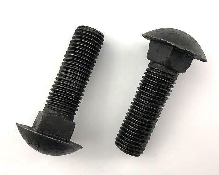 M8 Stainless Steel DIN603 Mushroom Head Round Head Square Neck Carriage Bolt with Hex Nu