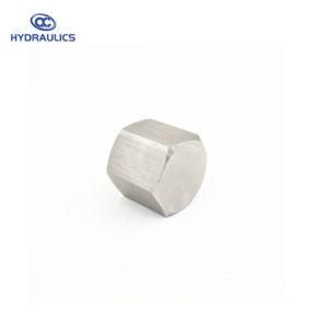 Stainless Steel Female NPT Hex Pipe Cap Adapter Fittings