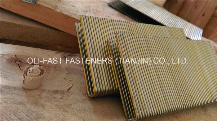 8605pg Spotnails 16 Gauge 5/8" Staples for Paslode GS16 / Dewalt (10, 000)