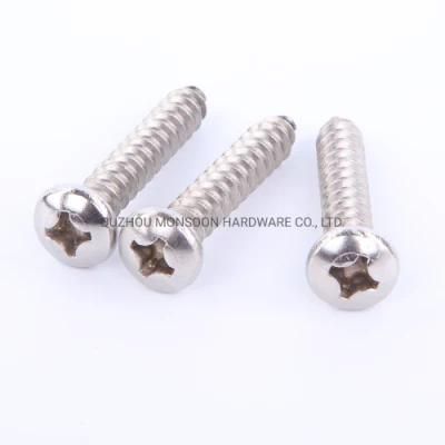 Stainless Steel Phillips Pan Self Tapping Screw