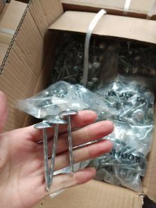 All Sizes Umbrella Head Roofing Nail for Roof Fitting