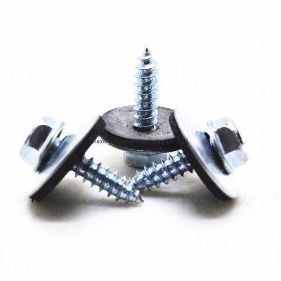 Flange Recessed Brain Tapping Screw with Washer