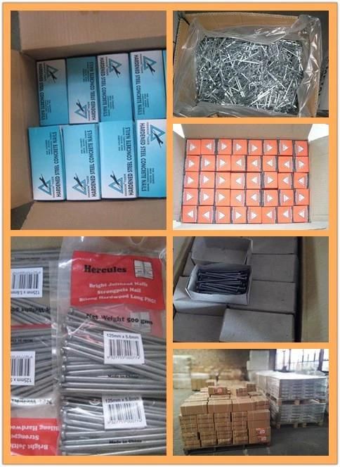 Umbrella Head Roofing Nails/Corrugated Nails Galvanized Twisted Shank with Gasket