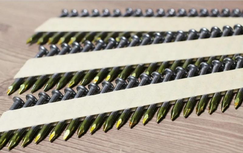 34 Degree Ppn Joist Hanger Twist Nails with Ring Shank