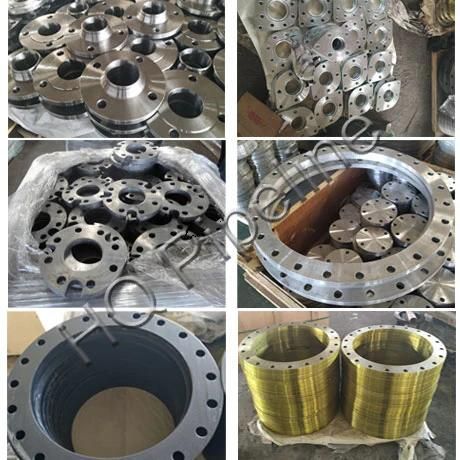 Forged Weld Neck Carbon Steel Stainless Steel Pipe Steel Flange
