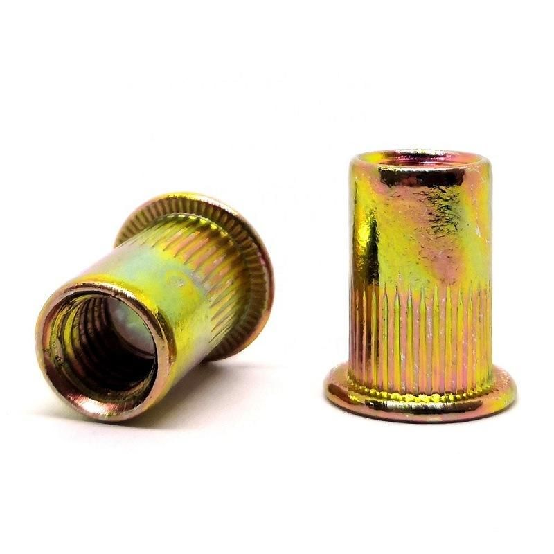 Round Head Rivet Nut M3 M12 Made in China