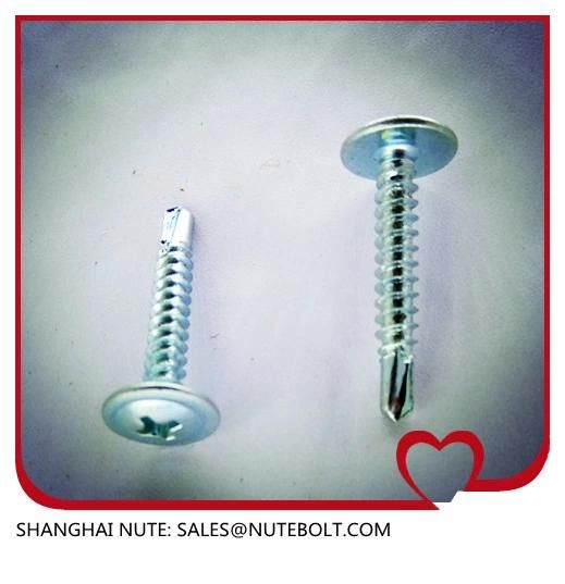 Stainless Steel 304 316 410 Self Drilling Screws St2.9 to St6.3, Flat Head, Pan Head, Hex Washer Head, Truss Head, and So on.