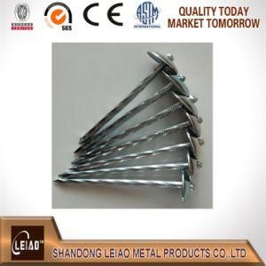 Wholesales Roofing Nail Galvanized, Sale Common Nails
